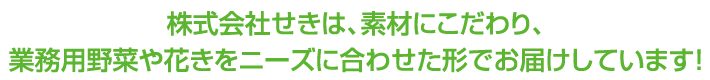 株式会社せきは、素材にこだわる飲食店やスーパー向けに、業務用野菜や花をニーズに合わせた形でお届けしています！